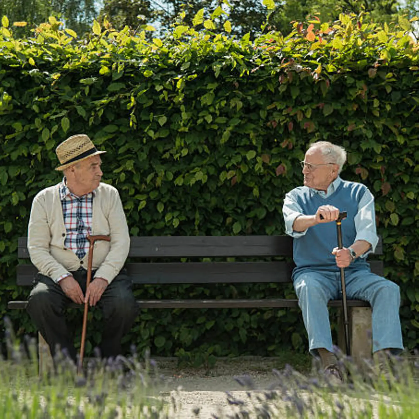 Zwei Senioren mit Gehstock treffen sich auf einer Parkbank